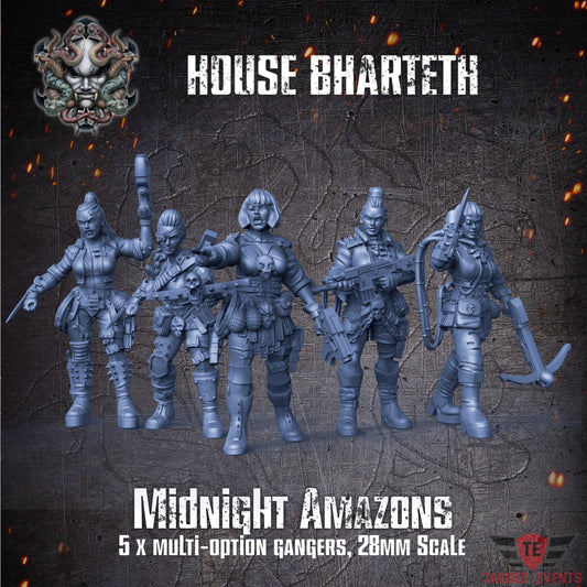 Midnight Amazon Gang