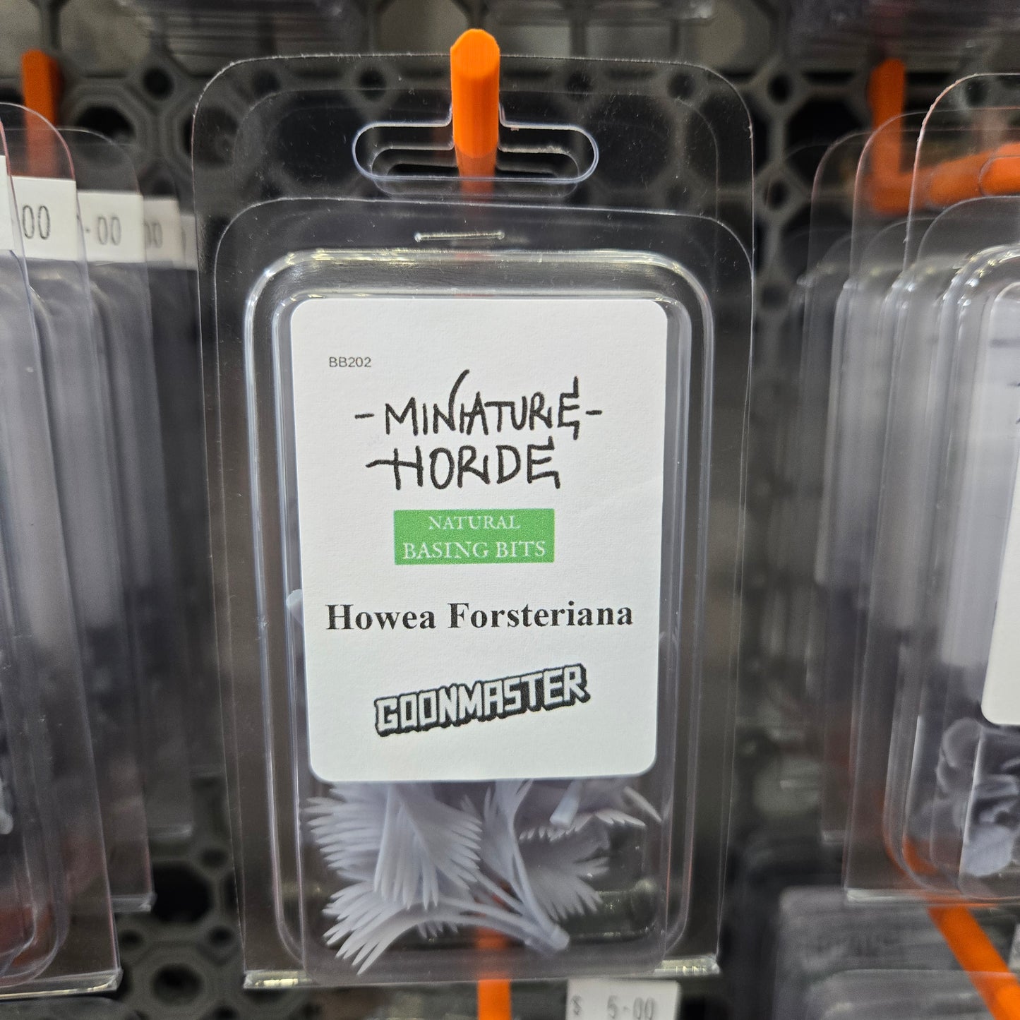 Howea Forsteriana by Goon Master