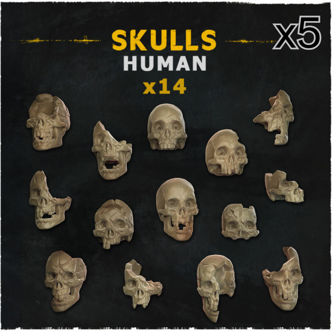 Human Skulls Multipack