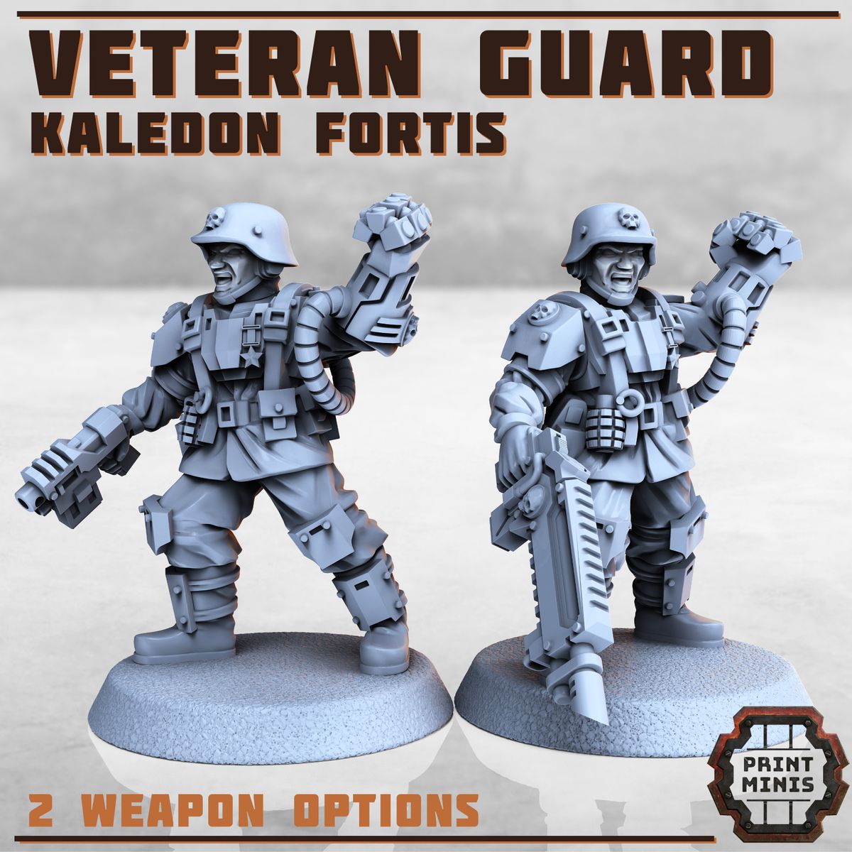 Veteran Guard - Kaledon Fortis