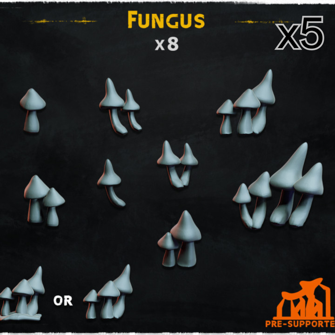Fungus Multipack