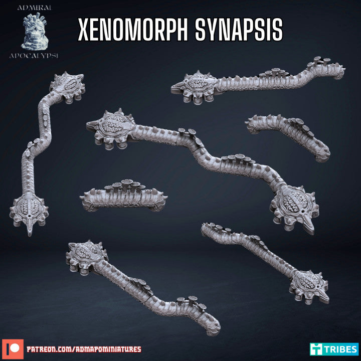 Xenos Synapsis