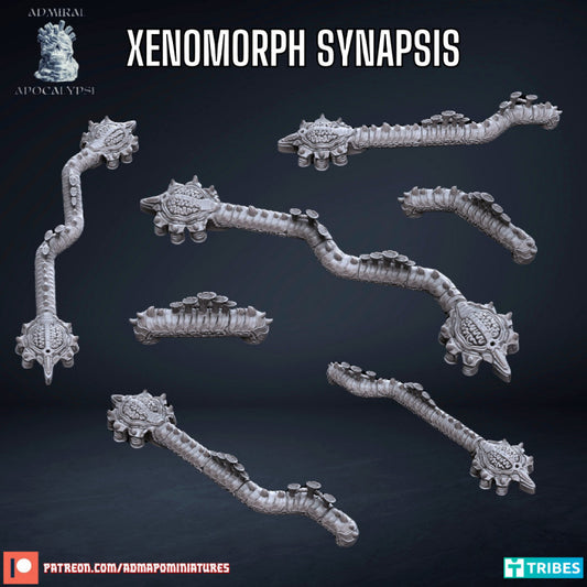 Xenos Synapsis